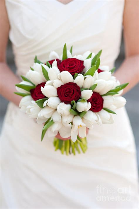 Red Rose And White Tulip Wedding Bouquet Photograph By Lee