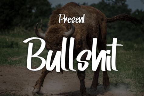 Bullshit Font By Eric Kusuma · Creative Fabrica