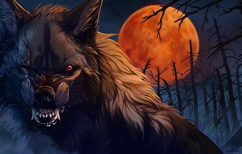 Evil Wolf Eyes Wallpapers Top Free Evil Wolf Eyes Backgrounds