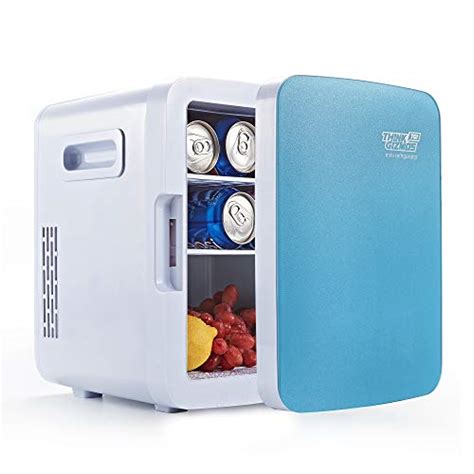 Mini Fridge Electric Cooler Warmer AC DC Portable Thermoelectric