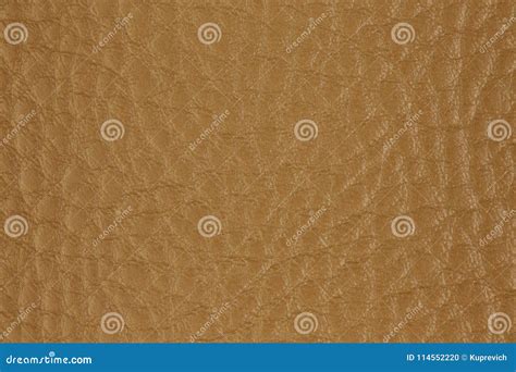 Artificial Leather Background Synthetics Stock Photo Image Of