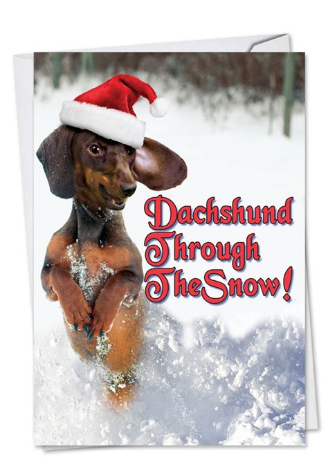 Dachshund Through The Snow Petigreet Christmas Card Nobleworks