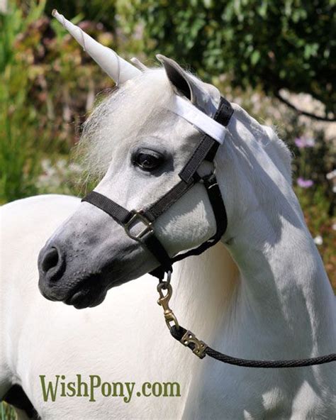 Velvet Contoured Unicorn Horn Unicorn Browband™ For Mini Pony Horse