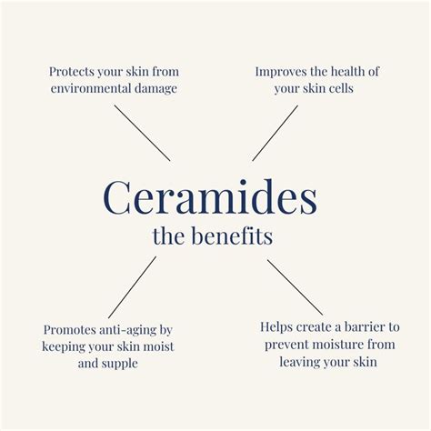 The Benefits Of Ceramides Ceramides Skin Cells Skin Care Advices