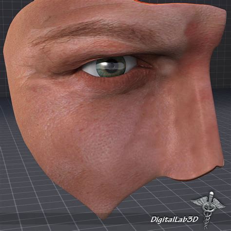 Human Eye Anatomy 3d Model Cgtrader