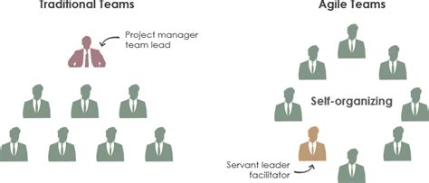 What Is A Self Organizing Team In Scrum