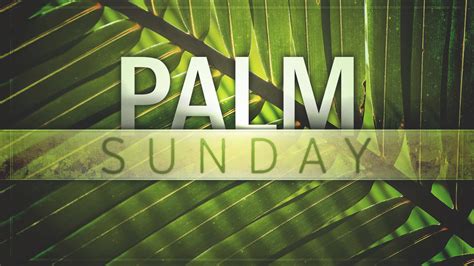 Welborne Palm Sunday Web