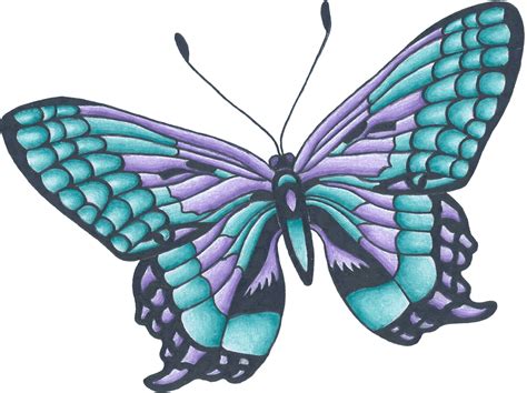 Butterfly Drawings With Color Free Download On Clipartmag