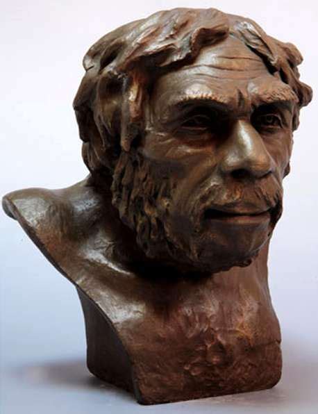 Forensic Facial Reconstruction Of Neanderthal Man From La Chapelle Aux