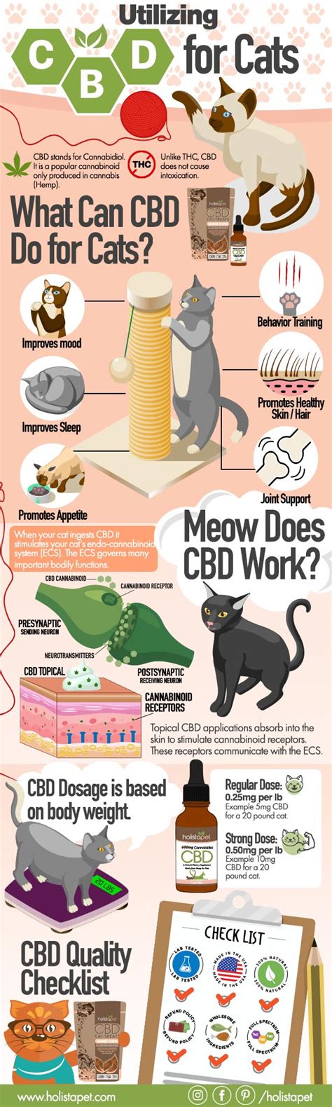 Many cat owners are starting to give their beloved feline friends cbd oil to provide relief for a variety of ailments and diseases such as cat arthritis and. Utilizing CBD for Cats - Submit Infographics