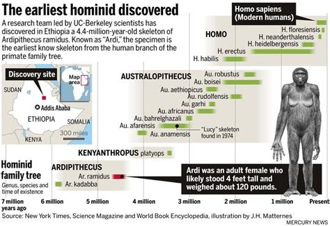 The Earliest Hominid Discovered In Ethiopia Hominid Evolution
