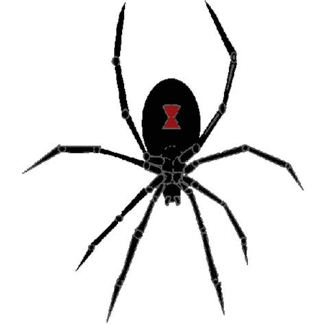 Black Widow Spider Embroidery Design Spider Digitized Embroidery