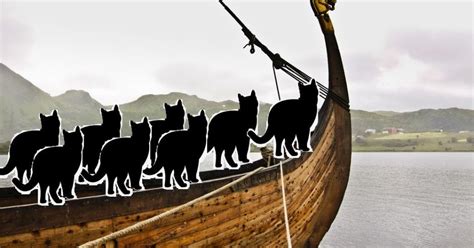 Viking Sailors Took Their Cats With Them The Archaeology News Network