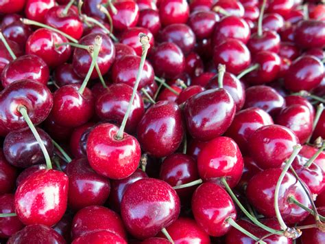 Rain Could Dampen Expectations For Cherry Crop In San Joaquin County