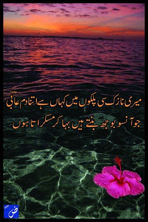 Pin By Fouzia Rizwan On Flower Urdu Poetry Urdu Shayri Movie Posters