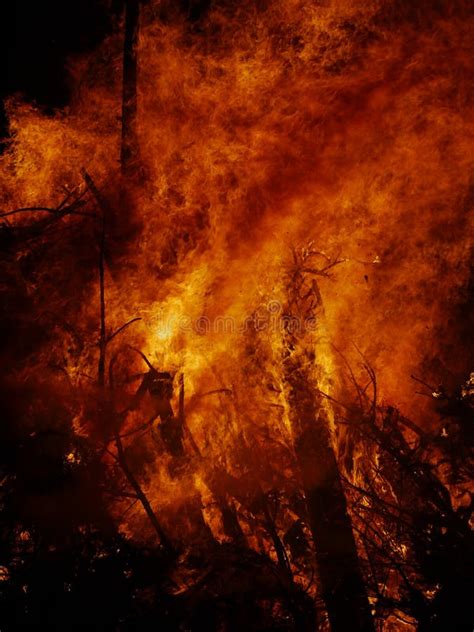Forest Fire At Night Stock Image Image Of Heat Warmth 12370679