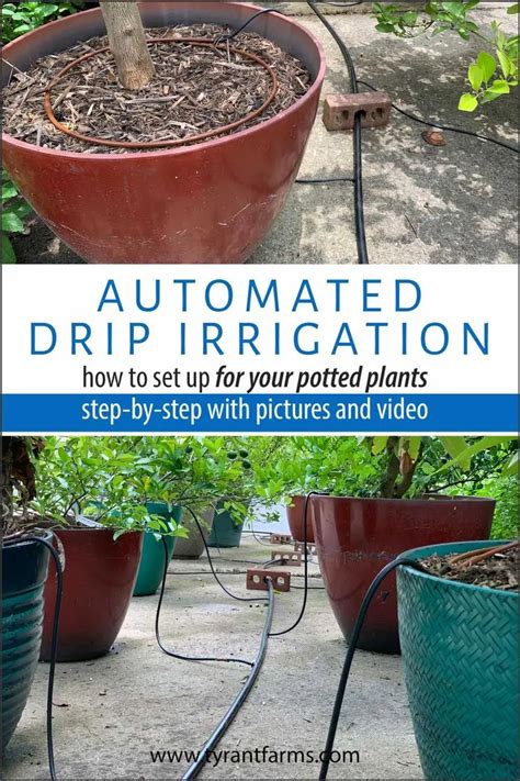 Drip Irrigation For Potted Plants Step By Step In 2021 Drip