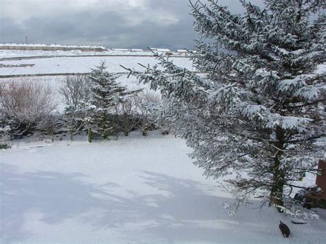 Thumbnail Gallery Winter Comes At Last To Caithness 133 To 144 Of