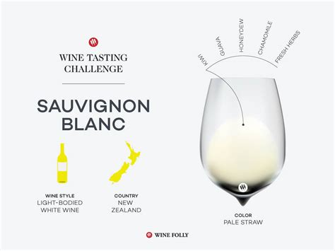 Tasting Challenge New Zealand Sauvignon Blanc Wine Folly