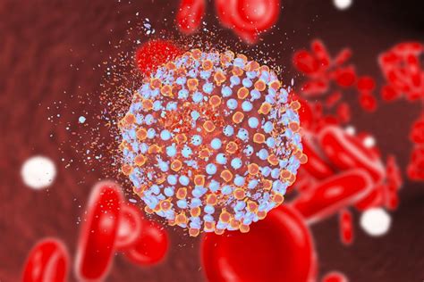 10 Symptoms Of Cytomegalovirus Cmv Facty Health