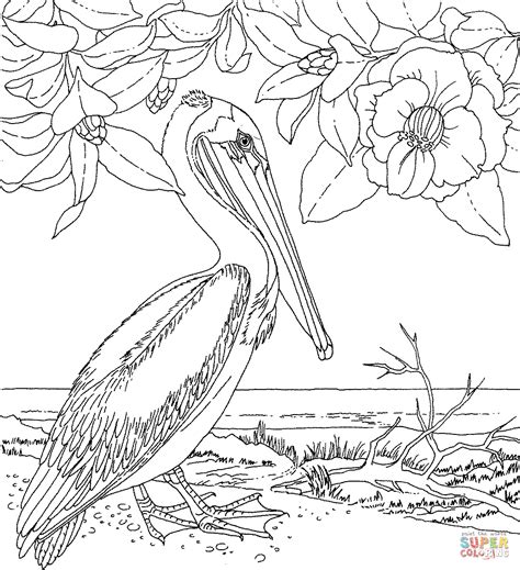 The birds are very lifelike. Alabama State Bird Coloring Page - Coloring Home