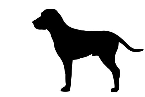 Dog Black Silhouette Free Stock Photo Public Domain Pictures