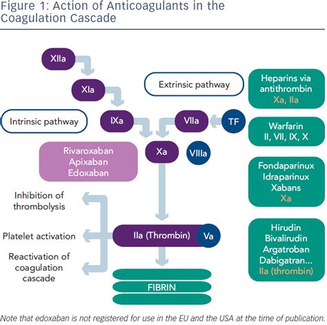 Figure 1 Action Of Anticoagulants In The Coagulation Cascade