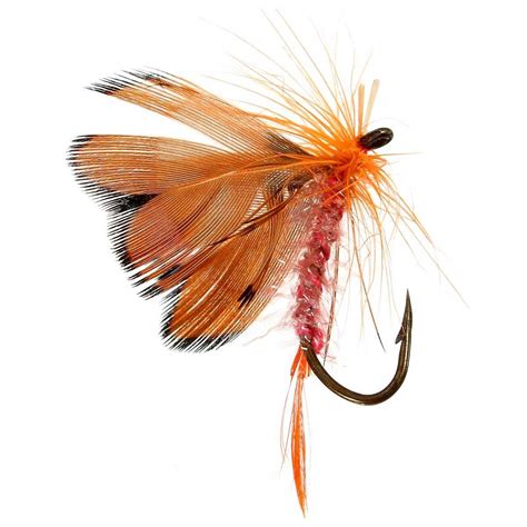 Zanlure 48pcs Butterfly Style Single Hook Trout Fly Fishing Flies Wet