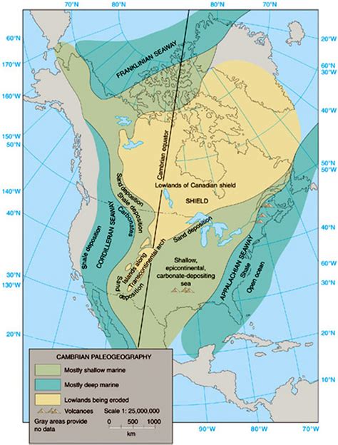 Cambrian Period