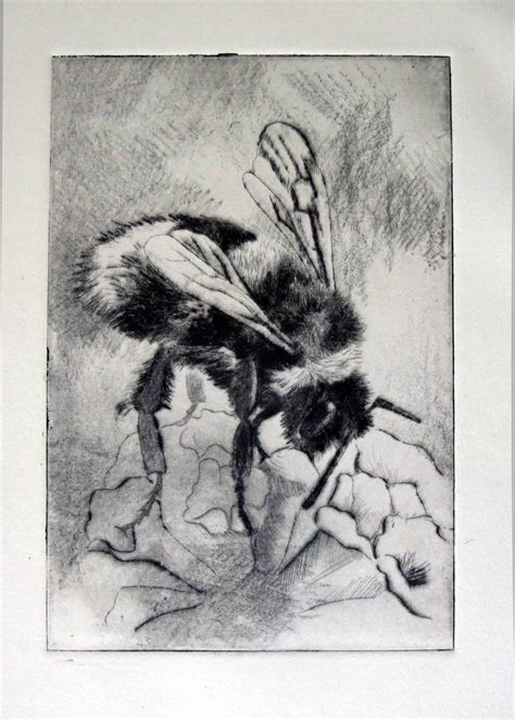 See more ideas about contemporary art, art, contemporary modern art. "Bee" | dry point etching, by Nicola Cavalla | Intaglio ...