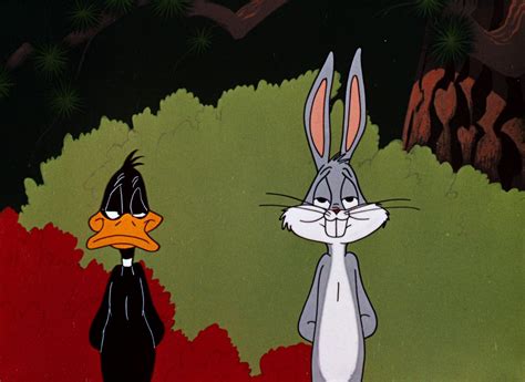 Pin By Kent Seering On Looney Tunes Looney Tunes Show Rabbit Season