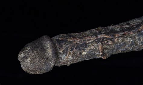 7 Inch Long Mummified Erect Penis From Hanged Crook Goes On Display At