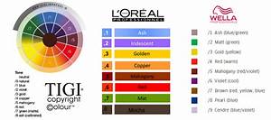 Clairol Professional Hair Color Chart Numbers