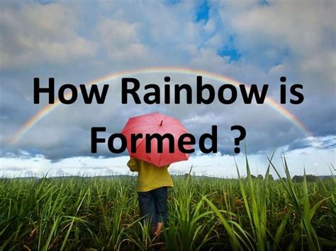 Text Explanation How Rainbow Formed