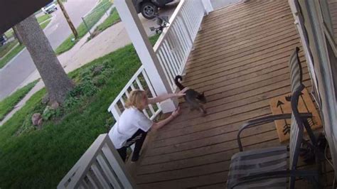 Cat Thief Caught On Camera Cited By Police