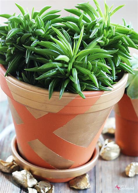 Diy Painted Terracotta Pots Easily Spruce Up Any Clay