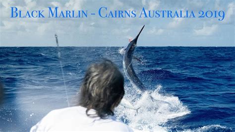 Black Marlin Fishing Cairns Australia With Captain Ross Finlayson