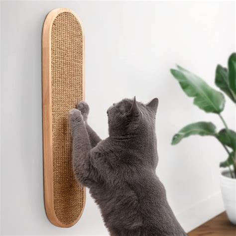 How To Get A Cat To Stop Scratching Walls Cheap Deals Save 67