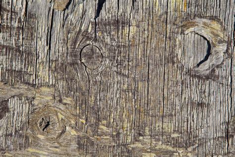 Grungy Wood Background Texture Stock Photo Image Of Hardwood Swirl
