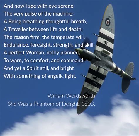 Best fighter pilot quotes selected by thousands of our users! Great Aviation Quotes | Poetry in 2020 | Aviation quotes, Aviation, Fighter jets