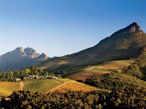 Where To Go In South Africas Wine Country Condé Nast Traveler