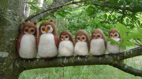 Softearths World Owls And Owlets