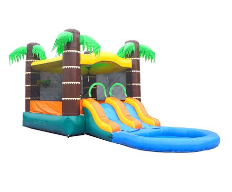 Buy Inflatable Bounce House And Wet Dry Dual Lane Slide 12 Foot X