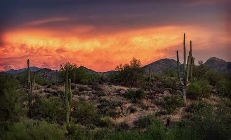 Colorful Desert Skies At Sunset Photograph By Saija Lehtonen Fine Art