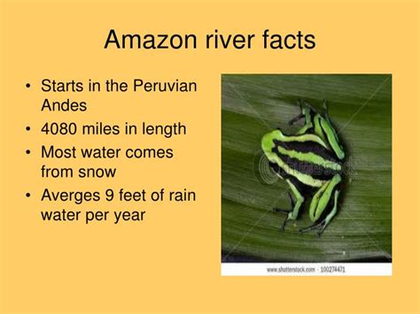 Ppt Amazon Rainforest Powerpoint Presentation Id4396094