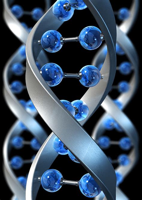 Dna Structure Photograph By David Mack Pixels