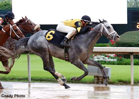The 2021 kentucky derby is the 147th renewal of the greatest two minutes in sports and will run on may 1st, 2021. 2020 Kentucky Derby Exacta Betting | Horse Racing News