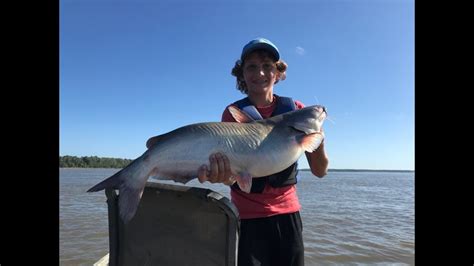 Catching Giant Catfish On The Mississippi Riverjug Fishing Youtube