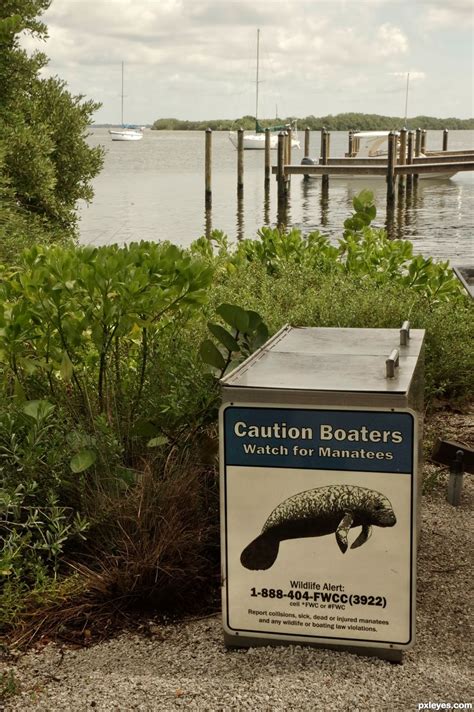 Manatee Warning Picture By Kyricom For Warning Signs Photography
