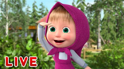 🔴 Live Stream 🎬 Masha And The Bear 🚀 Young Explorers 🗽 Youtube